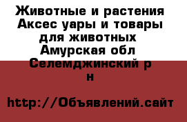 Животные и растения Аксесcуары и товары для животных. Амурская обл.,Селемджинский р-н